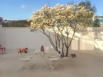 Pronájem bytu 2+kk, Praha - Holešovice, Varhulíkové, 67 m2