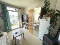 Pronájem bytu 1+kk, Brno - Trnitá, Mlýnská, 23 m2