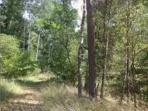 Prodej pozemku, Kaplice - Blansko, 5881 m2
