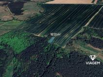 Prodej lesa, Svatoslav, 1231 m2