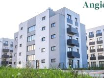 Prodej bytu 1+kk, Heřmanova Huť, U Pondu, 35 m2