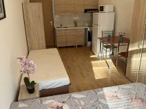 Pronájem bytu 1+kk, Plzeň, Nepomucká, 26 m2
