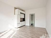 Pronájem bytu 1+kk, Praha - Žižkov, Bořivojova, 31 m2