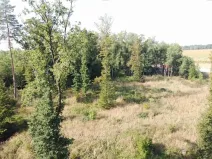 Dražba pozemku, Borek, 1351 m2