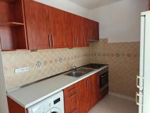 Pronájem bytu 1+1, Ostrava, Opavská, 42 m2
