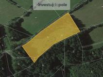 Prodej lesa, Cotkytle, 97502 m2