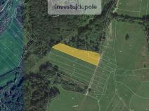 Prodej louky, Neurazy - Nová Ves u Nepomuka, 6998 m2