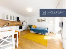 Pronájem bytu 1+kk, Brno, Francouzská, 27 m2