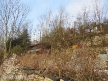 Dražba zahrady, Dolní Újezd, 906 m2