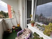 Prodej bytu 1+1, Brno, Foltýnova, 44 m2
