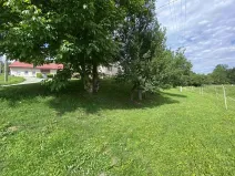 Dražba pole, Šarovy, 286 m2