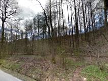 Prodej lesa, Liberec, 3735 m2