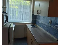 Pronájem bytu 1+1, Holubice, U Parku, 40 m2