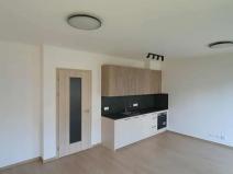 Pronájem bytu 1+kk, Praha - Chodov, Šternovská, 41 m2