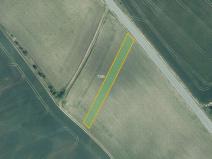 Prodej pole, Borkovany, 28294 m2