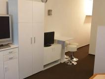 Pronájem bytu 1+kk, Teplice, Petra Jilemnického, 30 m2