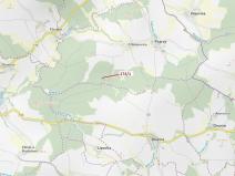 Dražba lesa, Psárov, 2949 m2