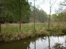 Dražba louky, Kladruby, 42411 m2