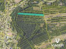 Prodej podílu zahrady, Sýkořice, 1425 m2