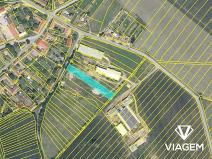 Prodej podílu pole, Medlice, 1159 m2