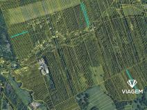 Prodej podílu lesa, Kněždub, 2367 m2