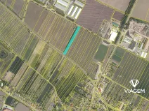 Prodej podílu pole, Hrádek, 2824 m2