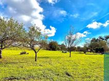 Prodej zahrady, Chropyně, 758 m2