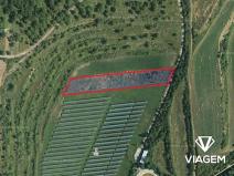 Prodej podílu pole, Hustopeče, 2846 m2