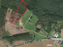 Prodej podílu lesa, Krásná Hora, Kojkovice, 2716 m2