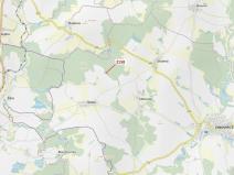 Dražba lesa, Žirovnice, 2356 m2