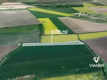 Prodej pole, Kněždub, 6791 m2