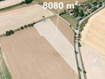 Prodej pole, Studnice, 8080 m2