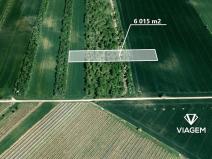 Prodej podílu pole, Hrušky, 1002 m2