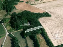 Prodej lesa, Medlov, 1873 m2