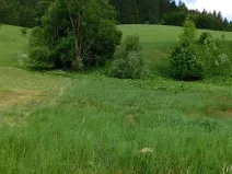 Dražba louky, Velké Karlovice, 14772 m2