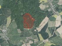 Prodej podílu lesa, Zdounky, 3240 m2