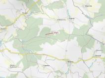 Dražba lesa, Psárov, 2949 m2