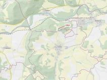 Dražba lesa, Rabí, 3054 m2