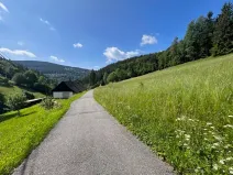 Prodej louky, Jablonec nad Jizerou, 12774 m2