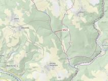 Dražba lesa, Jílové u Držkova, 1684 m2