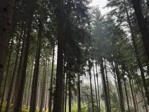 Prodej podílu pole, Nicov, 2230 m2