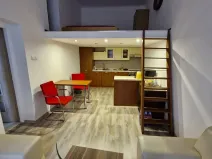 Pronájem bytu 1+1, Brno, Cejl, 28 m2