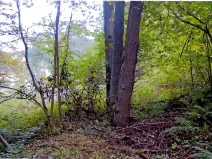 Prodej pozemku, Zlatá Olešnice, 251 m2