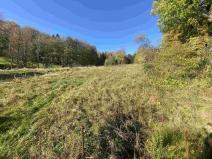 Prodej pole, Zdislava, 1384 m2