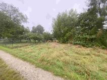 Prodej pozemku, Dolní Bukovsko - Bzí, 588 m2