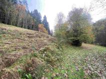 Prodej pozemku, Hartmanice, 2902 m2