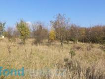 Prodej zahrady, Otrokovice, 637 m2