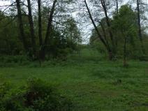 Dražba louky, Vlčice, 1387 m2