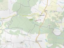 Dražba lesa, Jesenice, 2895 m2