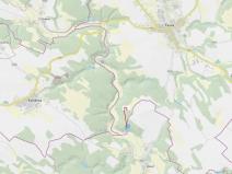 Dražba lesa, Pyšel, 6602 m2